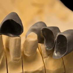 3839B182-DE3C-43A5-9507-81A8269E3823