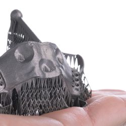 shutterstock_2172699971